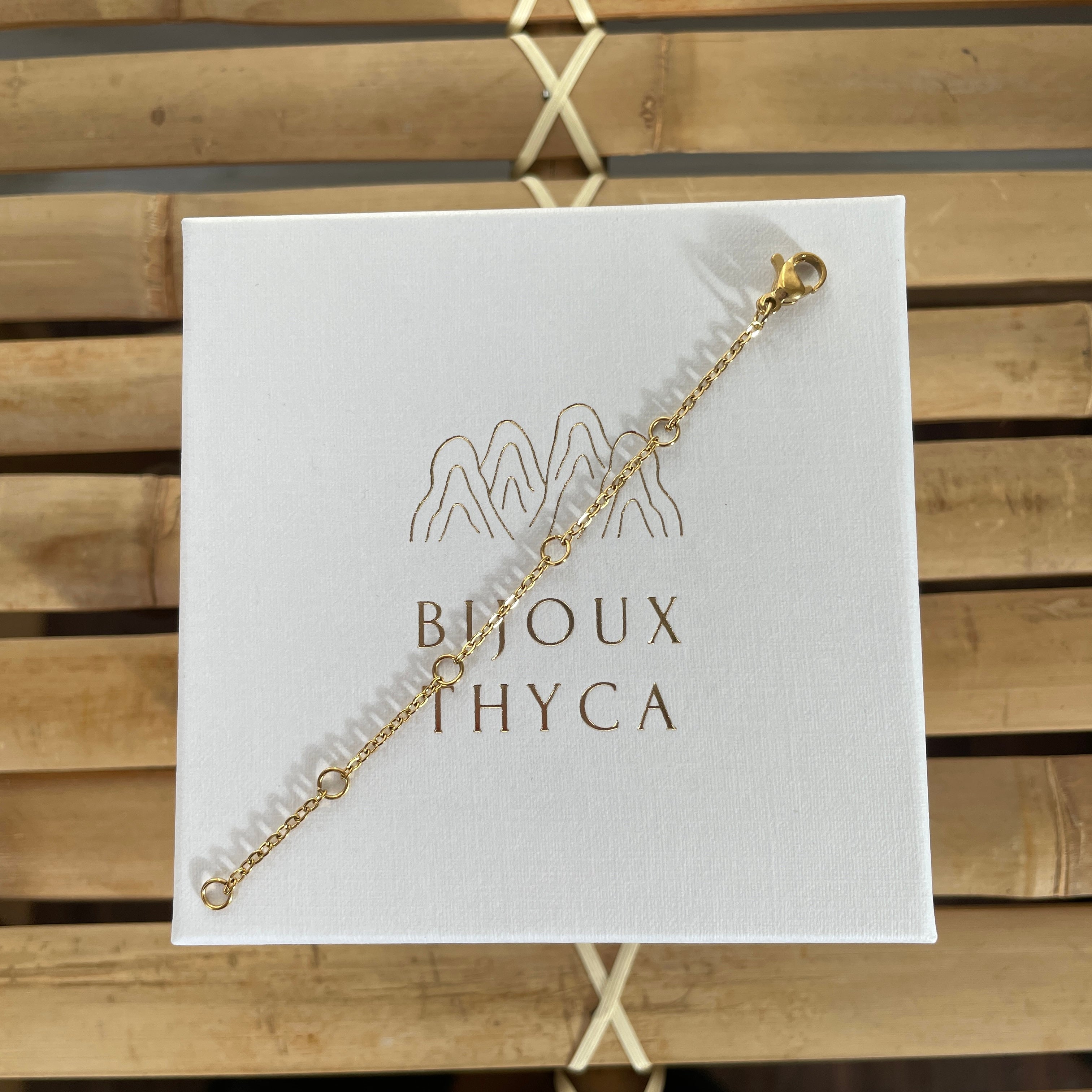 EXTENSION CHAIN