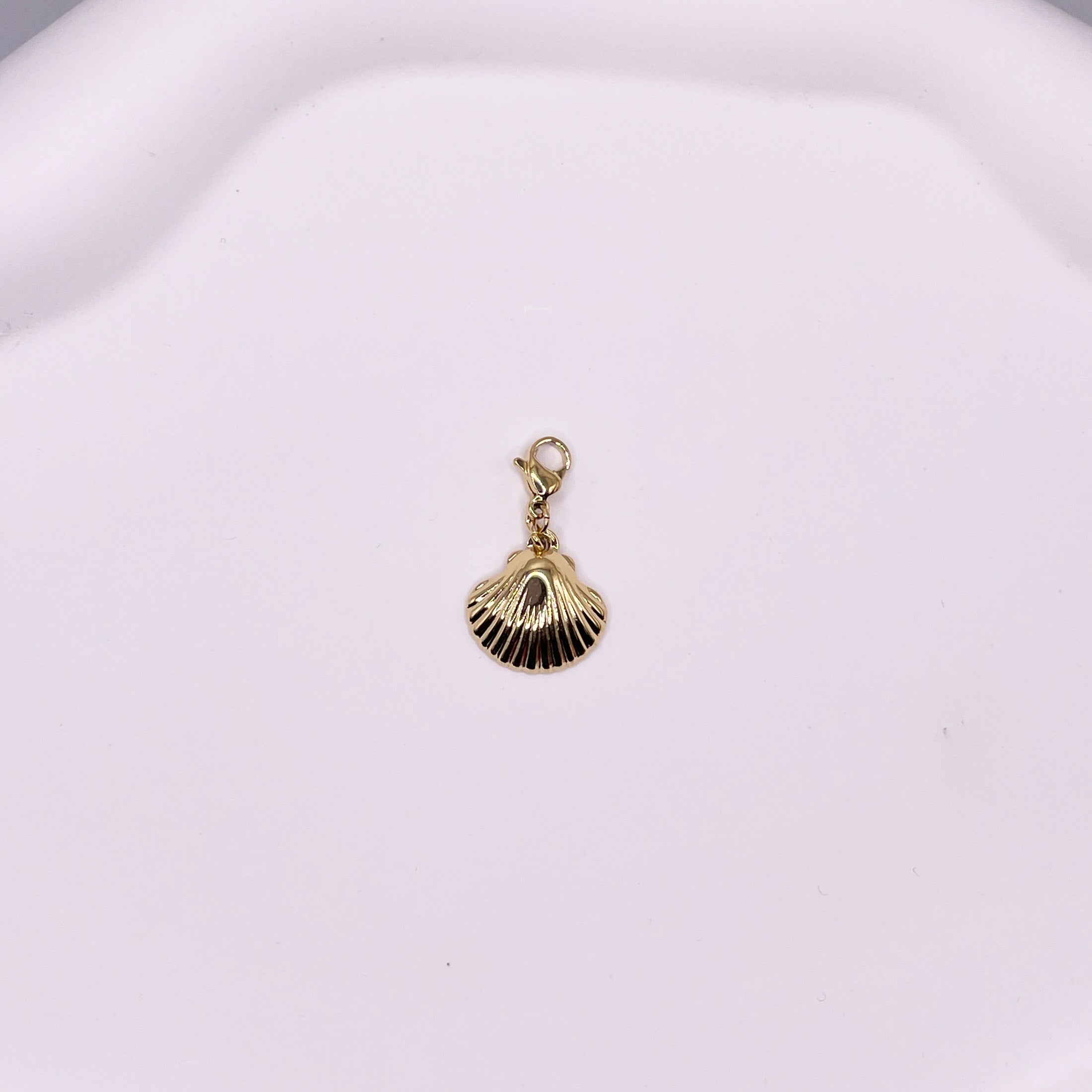 SHELL CHARM